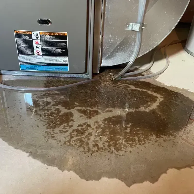 Appliance Leak Cleanup in Pontiac, IL